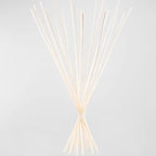 Urban Naturals Reed Diffuser Sticks 10 Inch Natural Rattan, 100 Count, Bulk Refill for Oil Diffuser Bottles, DIY Projects
