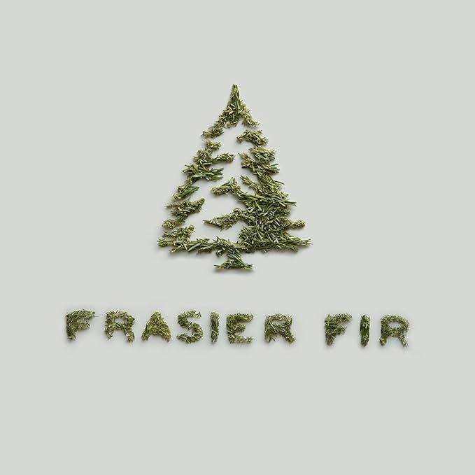Thymes Frasier Fir Car Diffuser Refills - Includes 4 Car Air Freshener Diffuser Reeds - Long-Lasting Air Freshener (Refills Only)