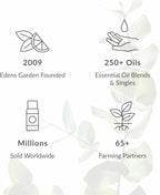 Edens Garden In Bloom Essential Oil 3 Set – 100% Pure Therapeutic Grade, Undiluted Aromatherapy- Jasmine, Rose & Sweet Pea Floral Blends– No Artificial Fragrance & Natural For Diffusers, 10 ml/ 3 Pack