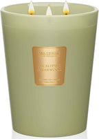 M&SENSE Eucalyptus & Cedarwood Scented Candle, 3 Wick 35oz Natural Soy Wax Candles for Home Scented, Green Candles Gift for Spring, 150 Hours Long Lasting Slow Burning