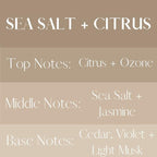 River Birch Sea Salt + Citrus Scented Linen and Room Spray | Home Fragrance | 4 oz Glass Amber Bottle | Luxury Signature Scent | Handmade in Texas