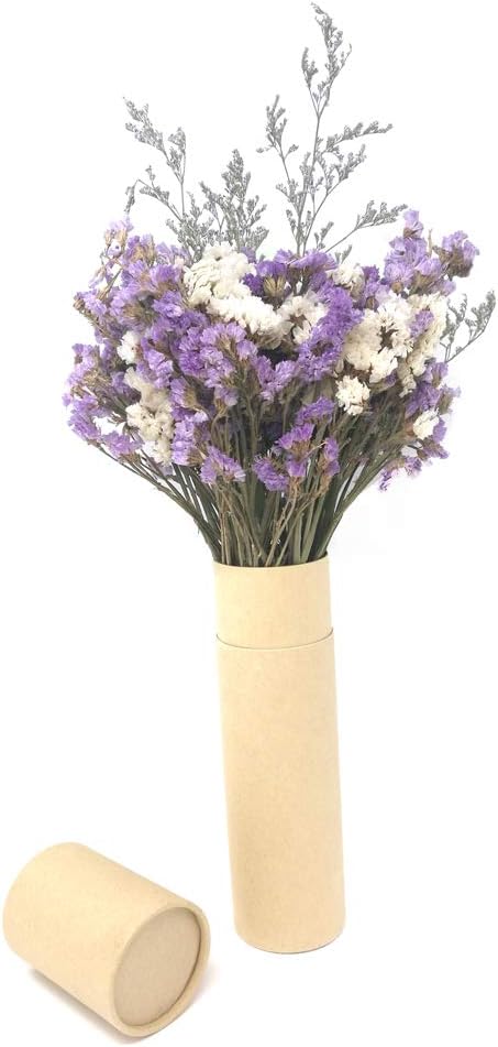 HOSSIAN Reed Diffuser Sticks - Reed diffusers-Reed Sticks -Diffuser Glass Bottles-Diffuser Refills- Natural Rattan Wood Replacement for Aroma Fragrance (9"*3mm Primary Color)