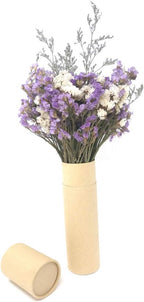 HOSSIAN Reed Diffuser Sticks - Reed diffusers-Reed Sticks -Diffuser Glass Bottles-Diffuser Refills- Natural Rattan Wood Replacement for Aroma Fragrance (9"*3mm Primary Color)