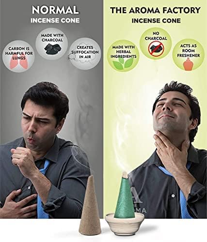 The Aroma Factory Organic Incense Dhoop Cones 3x30 Cones Jute Gift Set with Holder (Fruit Fusion)