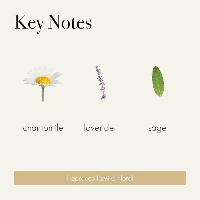 LAFCO New York Odor Removing Room Mist, Chamomile Lavender - 4 oz - Eliminates Unpleasant Scents & Provides Luxurious Fragrance - Up to 750 Pump Sprays Per Bottle - Made in the USA