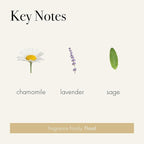 LAFCO New York Odor Removing Room Mist, Chamomile Lavender - 4 oz - Eliminates Unpleasant Scents & Provides Luxurious Fragrance - Up to 750 Pump Sprays Per Bottle - Made in the USA