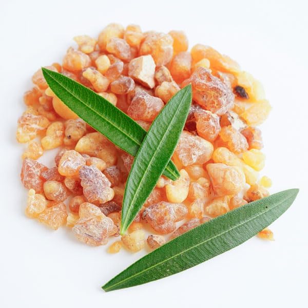 Arabian Incense (Bakhoor) Kit & Discovery Set – Complete Starter Bundle with Mini Burner, Tongs, Charcoal Rolls & 10 Premium Seasonal Samples – Perfect for Traditional & Modern Aromatherapy