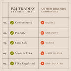 P&J Fragrance Oil Holiday Set | Mistletoe, Candy Cane, Wintermint, Apple Cider, Cranberry, and Forest Pine Candle Scents for Candle Making, Freshie, Soap Making Supplies, Diffuser Oil Scents