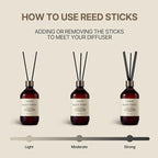 COCODOR Premium Reed Diffuser/Cedar Wood /16.9oz /1 Pack/Large Capacity Fragrance Scent Oil Stick Diffuser Set for Bedroom Bathroom Home Décor