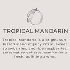 River Birch Tropical Mandarin Scented Linen and Room Spray | Home Fragrance | 4 oz Glass Amber Bottle | Luxury Signature Scent | Handmade in Texas