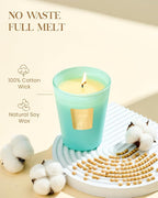 M&SENSE Summer Sea Air Scented Candle Home Decor, Natural Soy Wax,4.1oz 60 Hours Long Lasting Slow Burning, Aromatherapy Candle for Stress Relief