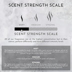 Stone Candles Environment Inspired by 5-Star Hotels RC Room Spray, 100ml Air Freshener (Marine | Bergamot | Jasmine) Home Fragrance Accessories, Room Perfume, Room Deodorizer, Vegan & Cruelty-Free