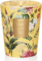 M&SENSE Orange Goji Scented Natural Soy Wax Candle, 14.1oz 60 Hours Long Lasting Slow Burning Candles for Home Decor, Aromatherapy Candle for Stress Relief