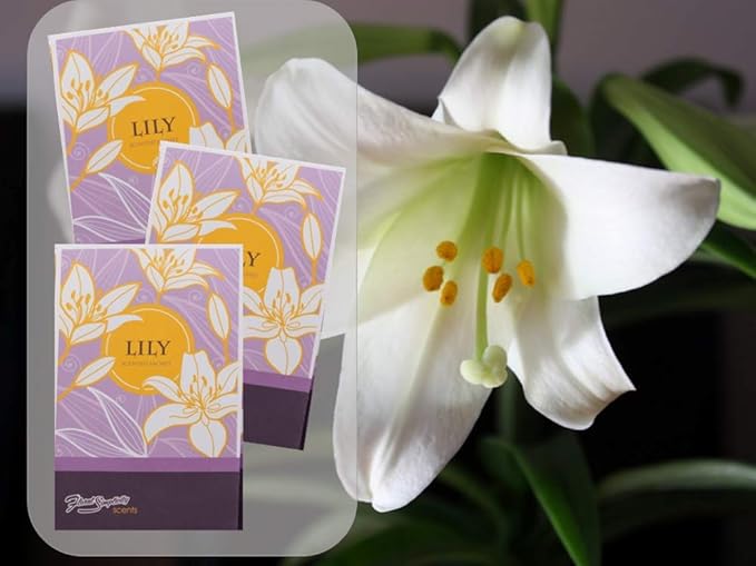 Lily Scented Sachets Pack of 6, Spring and Summer - Long-Lasting Scented Bags, Home Fragrance, Air Freshener & Deodorizer for Closet, Room, Drawer, or Cars, Made in USA