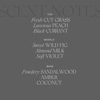 Antica Farmacista Home Ambiance Diffuser, Fig Leaf, 8.45 Fl Oz