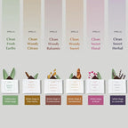 White Sage Incense Brick Gift Set by Aromafume | 12 Bricks & Tree of Life Exotic Burner | White Sage with Rose, Lavender, Palo Santo, Sandalwood, Frankincense | Sage for Cleansing, Smokeless Smudging