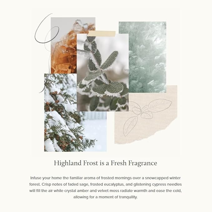 Thymes Home Fragrance Mist – Room Air Fresheners for Home Long Lasting – Air Freshener Spray – Holiday Room Spray with Crisp Notes of Sage, Eucalyptus, Cypress Needles & Amber (Highland Frost, 3 oz)