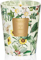 M&SENSE Sage Citrus Scented Natural Soy Wax Candle, 14.1oz 60 Hours Long Lasting Slow Burning Candles for Home Decor, Aromatherapy Candle for Stress Relief