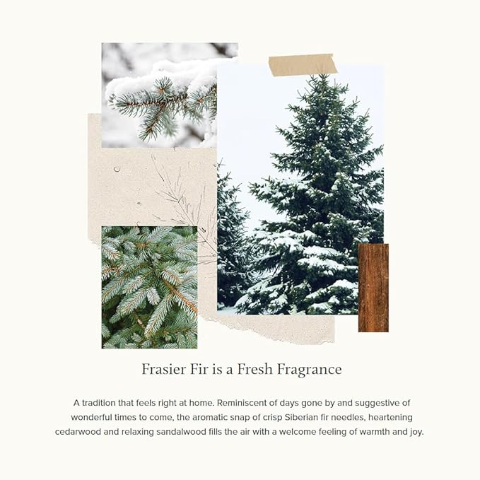 Thymes Frasier Fir Fragrant Refresher Oil - Aromatherapy Oil - Long Lasting Scent (1 fl oz)