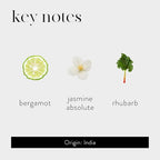 LAFCO New York Absolute Collection Reed Diffuser, Star Jasmine - 15 oz - Up to 1 Year Fragrance Life - Reusable, Hand Blown Glass Vessel - Nylon Reeds - Made in The USA