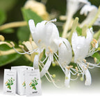 MYARO 12 Packs Honeysuckle Scented Sachets for Drawer and Closet, Long-Lasting Sachets Bags Air Freshener, Fresh Scents Potpourri Bags Home Fragrance for Lover