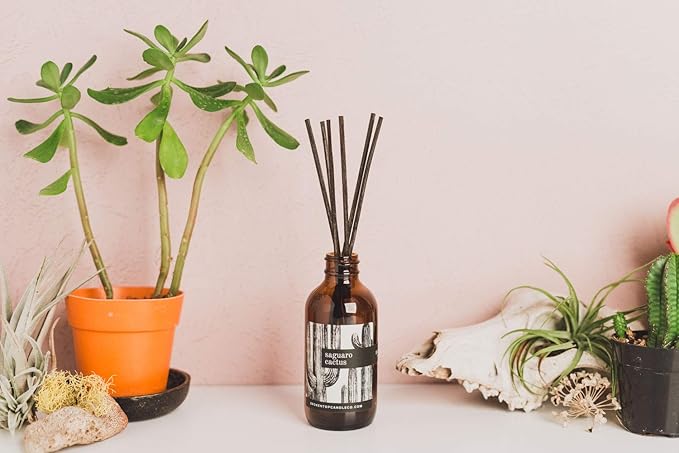 BROKEN TOP Natural Reed Diffuser Set (Saguaro Cactus)