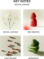 NEST New York Scented Classic Candle, Indian Jasmine - 8.1 oz - Up to 60-Hour Burn Time - Reusable Glass Vessel