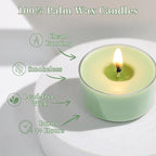 Eucalyptus Drift Scented Tea Lights Candles – Grayish Green – 6 Hour Burn – 100% Palm Wax – Scented Tealight Candles for Winter Holidays, Christmas Calm, Spa Vibes – 48 Pack Scent Votive Candle