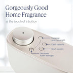 Aera Mini Linen Home Fragrance Scent Refill, Clean Formula with Notes of Bright Citruses, and Juniper Berries Frolic with Delicate Florals - Works with Aera Diffuser