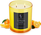 Citrus & Sage Scented Candle, 2-Wick Luxury Soy Wax Candle, 9 oz Aromatherapy Candle Home Fragrance Candles Gift