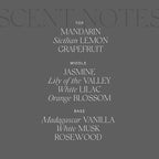 Antica Farmacista Home Ambiance Diffuser, Orange Blossom, Lilac and Jasmine,3.4 Fl Oz