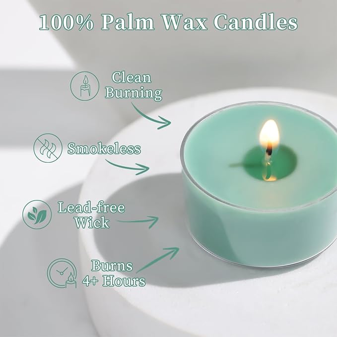 Pine Forest Scented Tea Lights Candles – Pine Green – 6 Hour Burn – 100% Palm Wax – Scented Tealight Candles for Christmas, Winter Holidays, Festive Decor – 48 Pack Scent Votive Candle