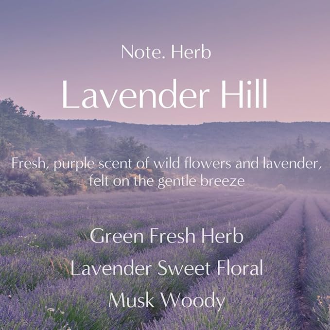 COCODOR 5 Packs Lavender Scented Sachets/Air Freshener Sachets Bags for Drawers, Closet, Cars, Long-Lasting Deodorizers Fresh Scents, Home Fragrance