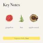 LAFCO New York Reed Diffuser Refill, White Grapefruit - 8.4 oz - Up to 4-Month Fragrance Life - Includes Natural Wood Reeds - Free of Dyes & Propellants - Made in The USA