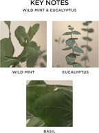 NEST New York Reed Diffuser, Wild Mint & Eucalyptus - 5.9 fl oz - Fragrance for Up to 90 Days - Reusable, Refillable Glass Holder - Includes 8 All-Natural Reed Sticks - Flame Free