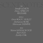 Antica Farmacista Home Ambiance Diffuser, Damascena Rose, Orris and Oud, 16.9 Fl Oz