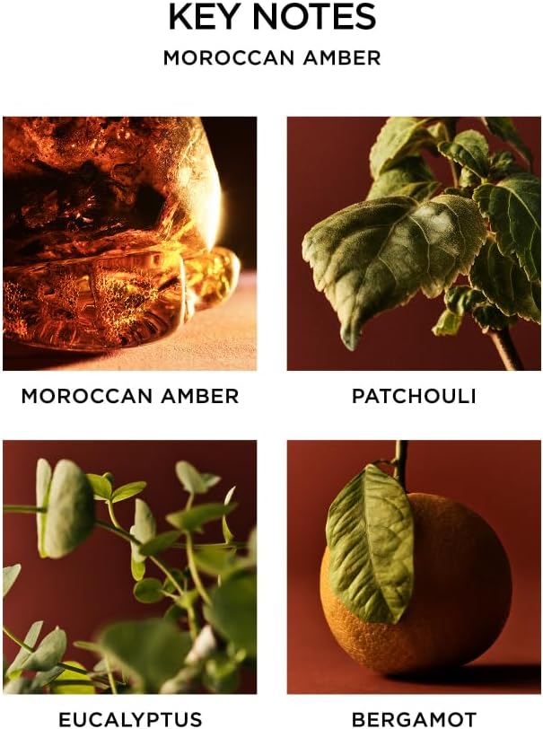 NEST New York Scented Classic Candle, Moroccan Amber - 8.1 oz - Up to 60-Hour Burn Time - Reusable Glass Vessel