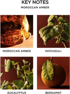 NEST New York Scented Classic Candle, Moroccan Amber - 8.1 oz - Up to 60-Hour Burn Time - Reusable Glass Vessel