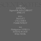 Antica Farmacista Home Ambiance Diffuser, Prosecco 16.9 Fl Oz