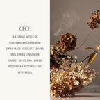 Homecourt Room Deodorant, Natural Room Spray, Fine Fragrance of Cedarwood & Leather, For Kitchen, Bathroom & more, Clean Formula, Cece, 3.4 oz