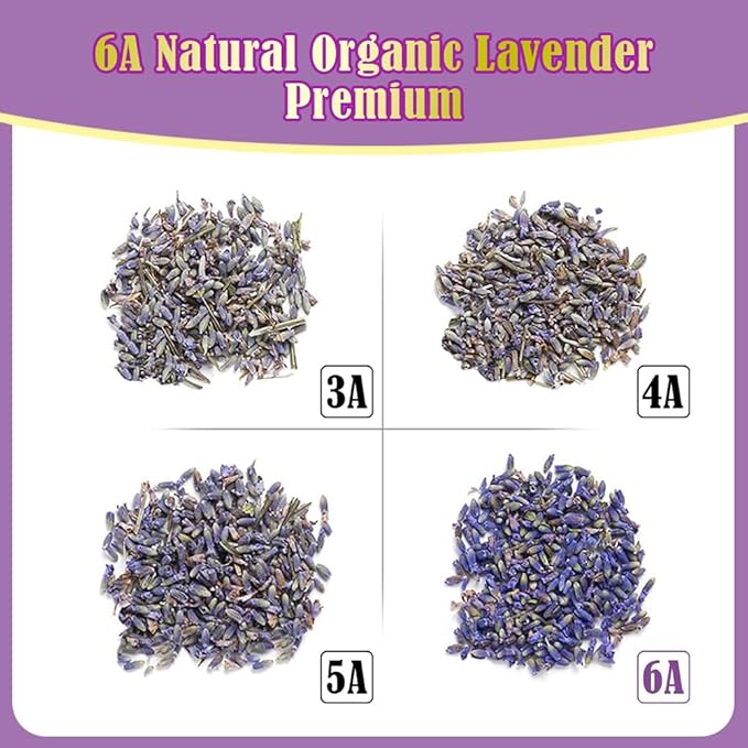 Cedar Space 32 Lavender Sachet Bags for Drawers and Closets Filled with Premium Dried Lavender Smell Good Products Long Lasting Bridal Shower Favors Home Fragrance Sachet Packets for Clothes Storage