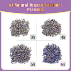 Cedar Space 32 Lavender Sachet Bags for Drawers and Closets Filled with Premium Dried Lavender Smell Good Products Long Lasting Bridal Shower Favors Home Fragrance Sachet Packets for Clothes Storage