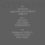 Antica Farmacista Room Spray - Prosecco, 3.4 Fl Oz (Pack of 1)