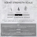 ENVIRONMENT Inspired by Designer Perfume IM L'Eau Room Spray, 100ml Air Freshener (Rosewater | Peony Water | Washed Woods) Home Fragrance Accessories, Room Perfume, Room Deodorizer, Cruelty-Free