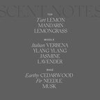 Antica Farmacista Home Ambiance Diffuser,Lemon Verbena and Cedar,8.45 Fl Oz