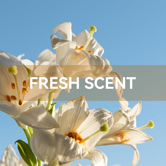 MYARO 12 Packs Vanilla Scented Sachets for Drawer and Closet, Long-Lasting Closet Sachet Bags Drawer deodorizers Fresh Scents, Home Fragrance for Lover