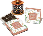 White Sage & Frankincense Incense Bricks with Snowflake Burner by Aromafume | 2x9 Bricks | Sage Incense for Cleansing Negative Energy & Protection | Sage for Smokeless Smudging, Spiritual Cleansing