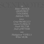 Antica Farmacista Home Ambiance Diffuser, Aperol Spritz, 8.45 Fl Oz