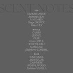 Antica Farmacista Home Ambiance Diffuser,Elderflower,8.45 Fl Oz