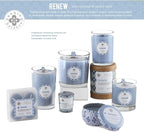 Root Candles Seeking Balance Wood Wick Spa Candle Aromatherapy Candles, 6.5-Ounce, Renew: Sea Cypress & Cedar Leaf